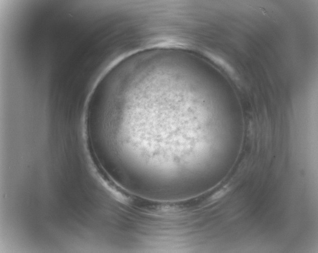 X0000068851375200605051201