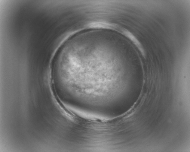 X0000068851376200605051201