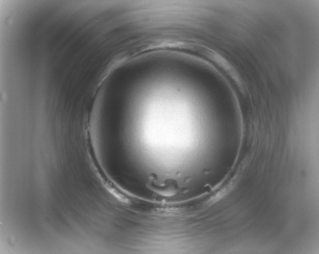 X0000068851377200605051201