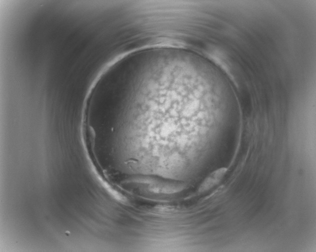 X0000068851379200605051201