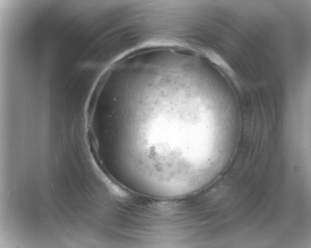 X0000068851380200605051201