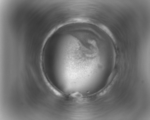 X0000068851381200605051201