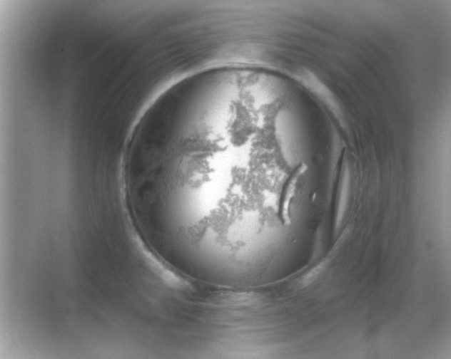 X0000068851382200605051201