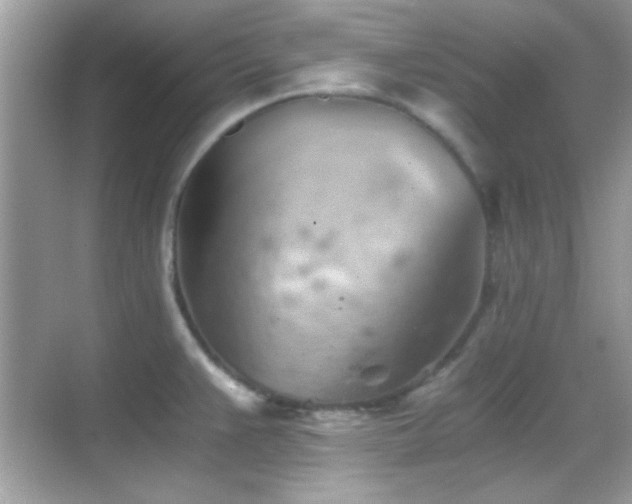 X0000068851383200605051201