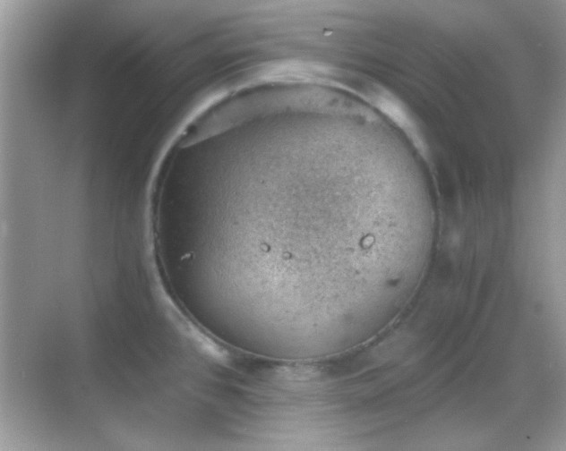 X0000068851384200605051201