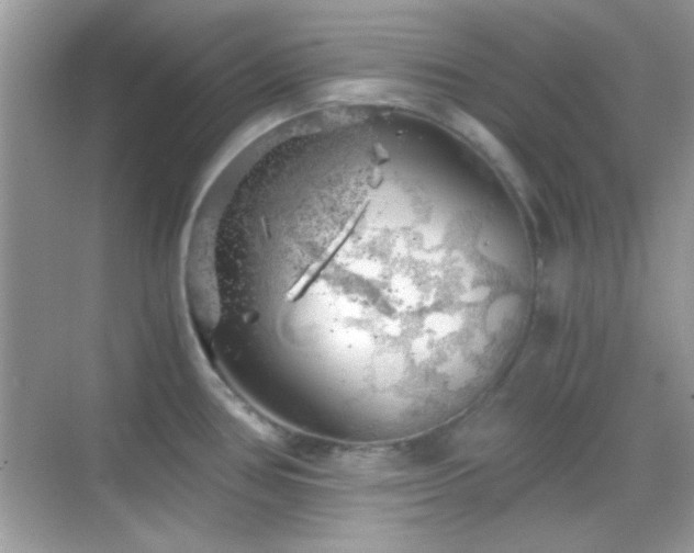 X0000068851386200605051201