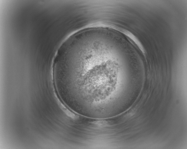 X0000068851388200605051201