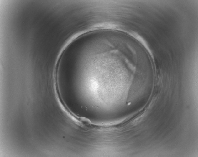 X0000068851389200605051201