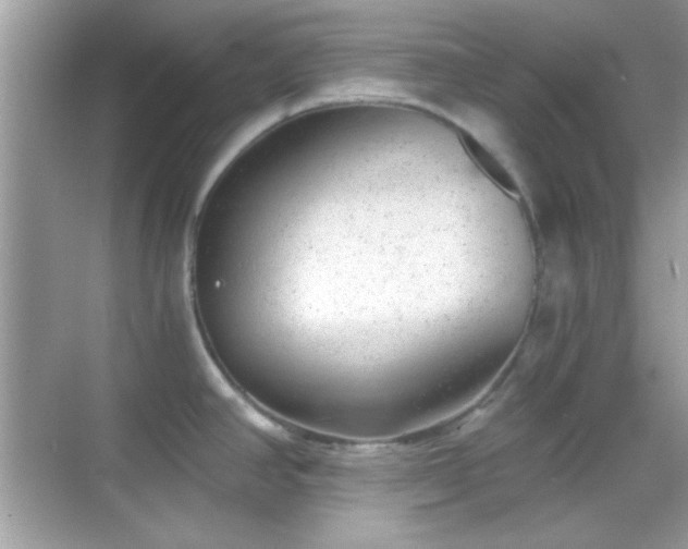 X0000068851390200605051201