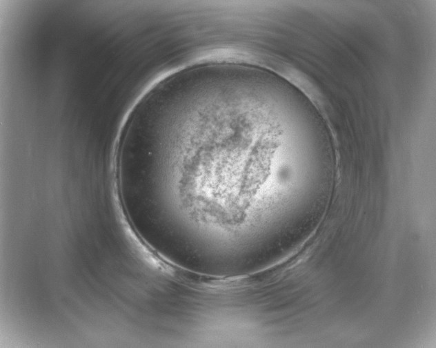 X0000068851392200605051201