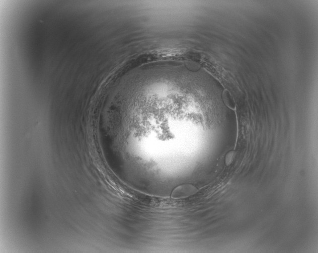 X0000068851393200605051200