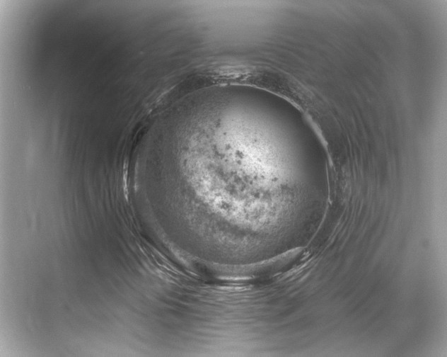 X0000068851394200605051200