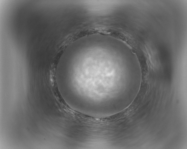 X0000068851397200605051200