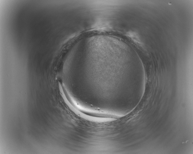 X0000068851398200605051200