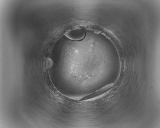 X0000068851399200605051200