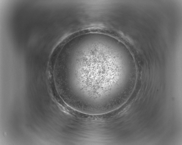 X0000068851400200605051200