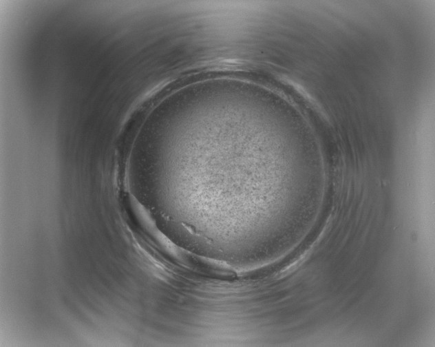 X0000068851402200605051200