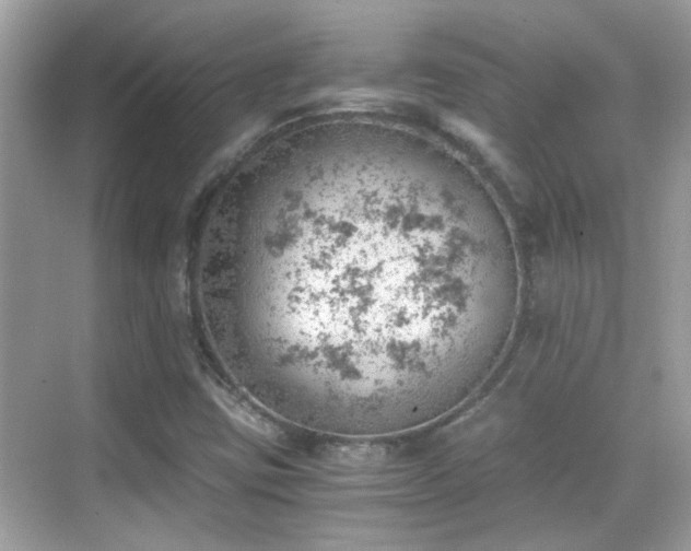 X0000068851403200605051200