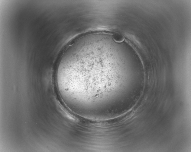 X0000068851404200605051200