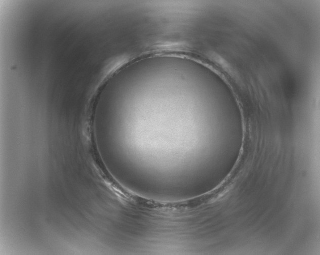 X0000068851405200605051200