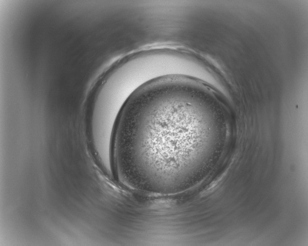 X0000068851406200605051200