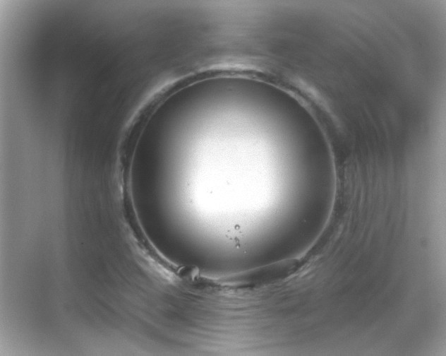 X0000068851408200605051200