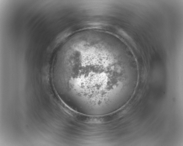 X0000068851411200605051201