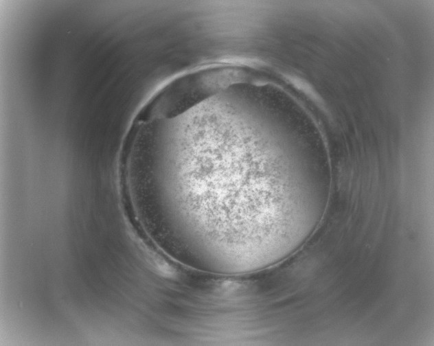 X0000068851412200605051201