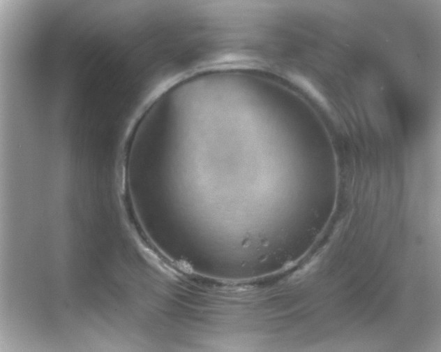 X0000068851413200605051201