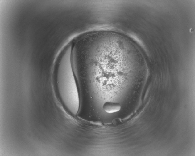 X0000068851414200605051201