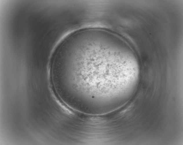 X0000068851416200605051201