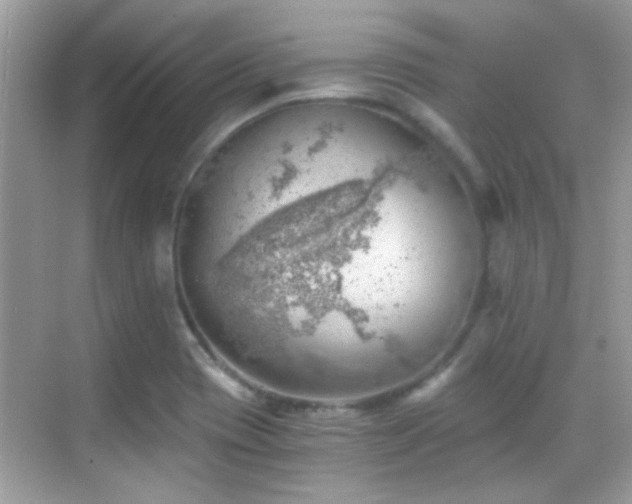 X0000068851417200605051201