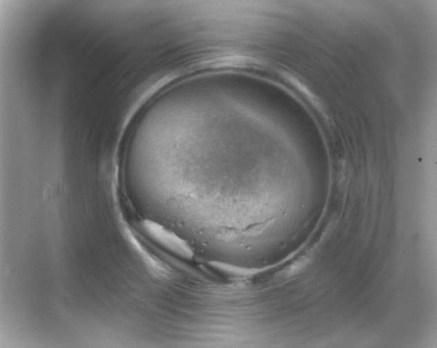 X0000068851418200605051201