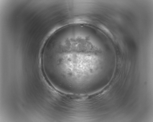 X0000068851419200605051201