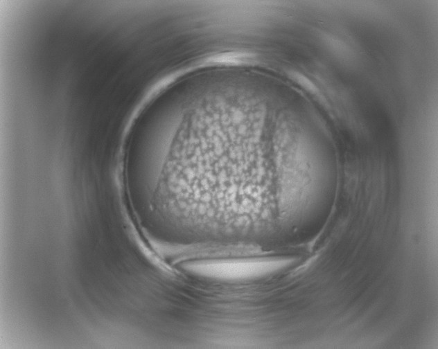 X0000068851421200605051201