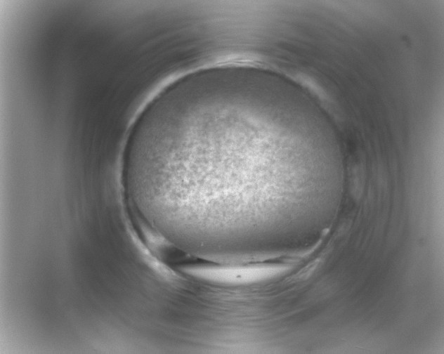 X0000068851422200605051201