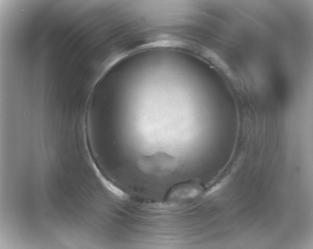 X0000068851425200605051201