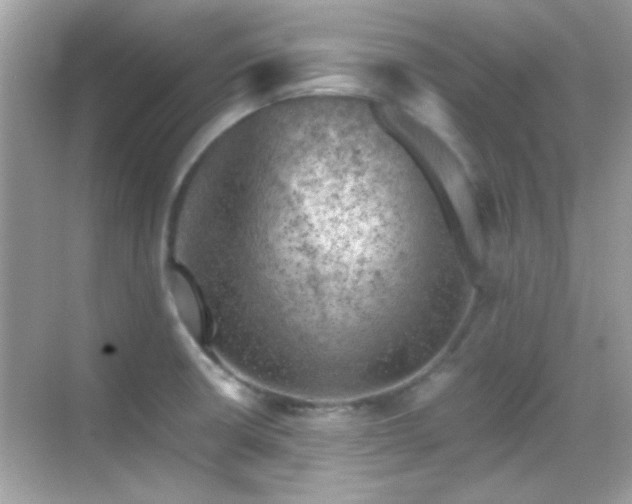 X0000068851426200605051201