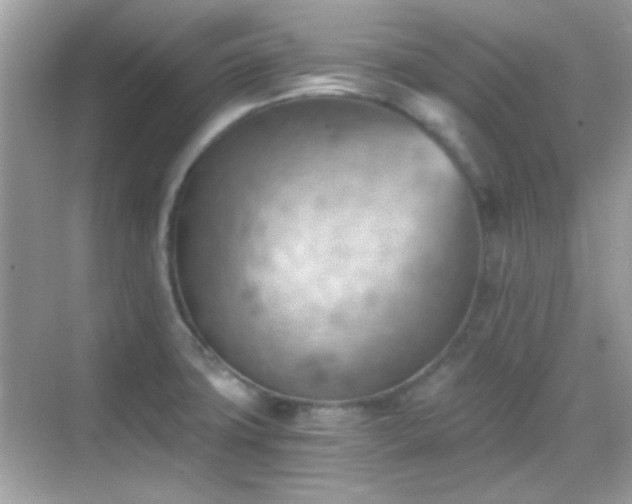 X0000068851427200605051201