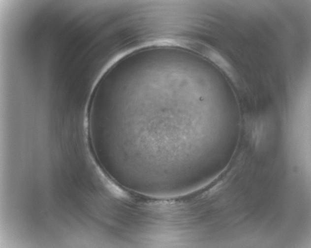 X0000068851428200605051201