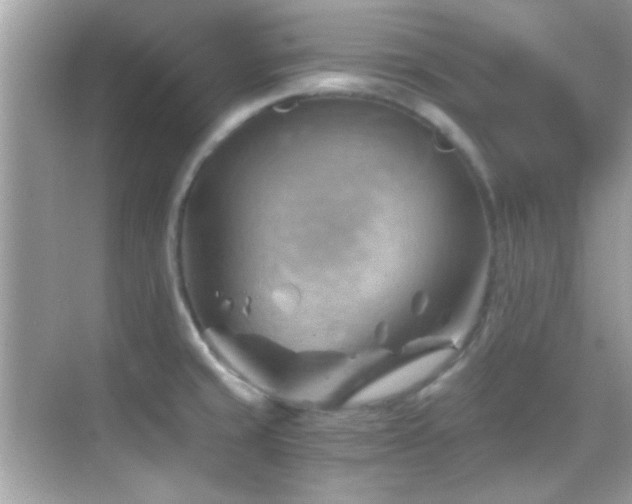 X0000068851429200605051201