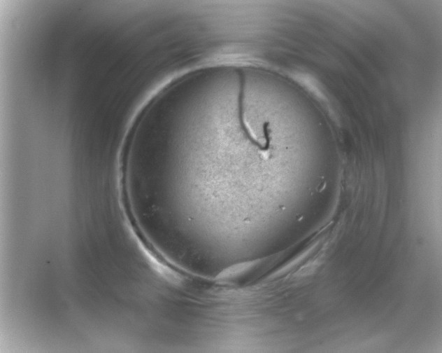 X0000068851430200605051201