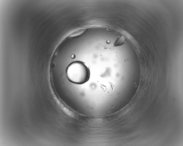 X0000068851431200605051201