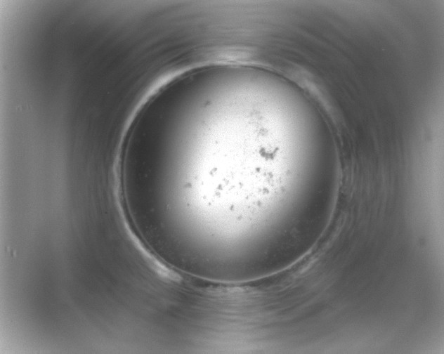 X0000068851432200605051201