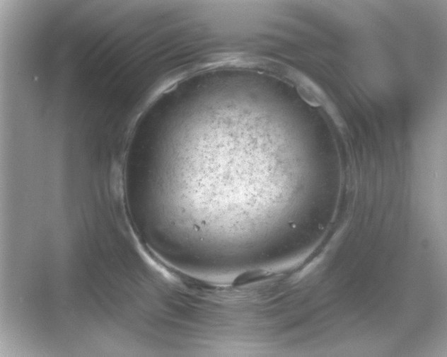 X0000068851433200605051201