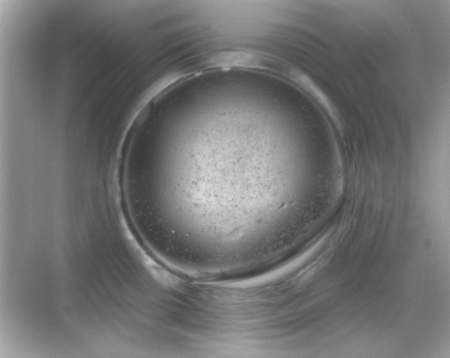 X0000068851434200605051201