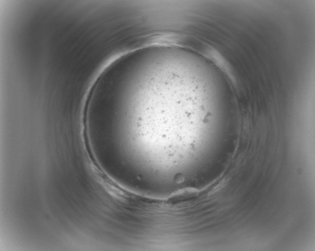 X0000068851435200605051201