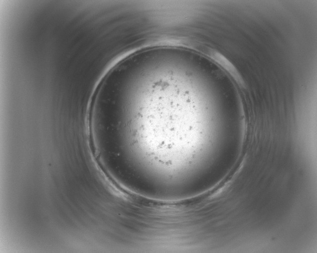 X0000068851436200605051201