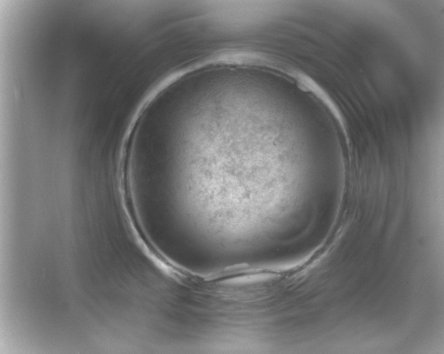 X0000068851437200605051201