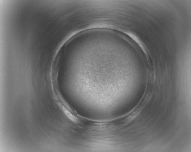 X0000068851438200605051201